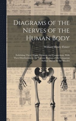 Diagrams of the Nerves of the Human Body 1