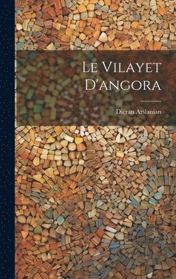 bokomslag Vilayet D'angora