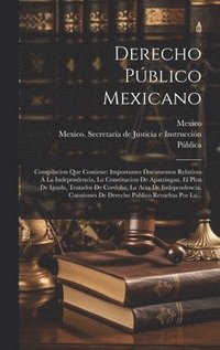 bokomslag Derecho Pblico Mexicano
