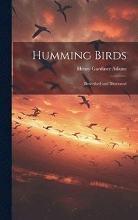 bokomslag Humming Birds