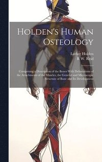 bokomslag Holden's Human Osteology