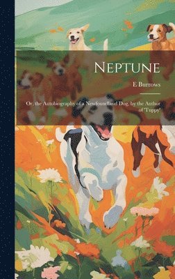 bokomslag Neptune; Or, the Autobiography of a Newfoundland Dog, by the Author of 'tuppy'