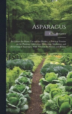 Asparagus 1