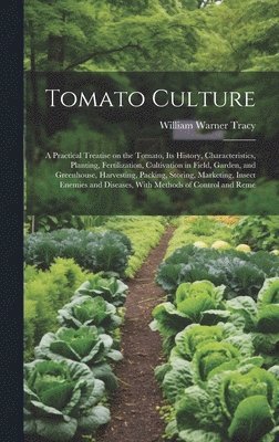 bokomslag Tomato Culture; a Practical Treatise on the Tomato, its History, Characteristics, Planting, Fertilization, Cultivation in Field, Garden, and Greenhouse, Harvesting, Packing, Storing, Marketing,