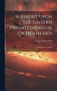 bokomslag A Report Upon The Eastern Pinnated Grouse Or Heath Hen
