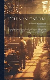 bokomslag Della Falcadina