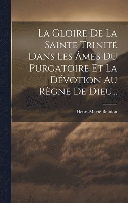 Gloire De La Sainte Trinité Dans Les Âmes Du Purgatoire Et La Dévotion Au Règne De Dieu...