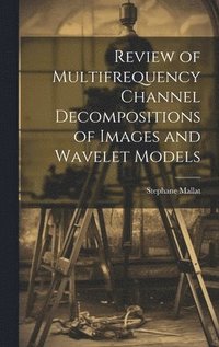 bokomslag Review of Multifrequency Channel Decompositions of Images and Wavelet Models