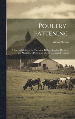 bokomslag Poultry-fattening