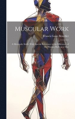 Muscular Work 1