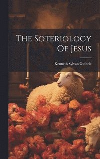 bokomslag The Soteriology Of Jesus