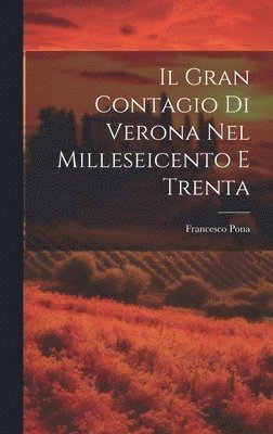 bokomslag Il Gran Contagio Di Verona Nel Milleseicento E Trenta