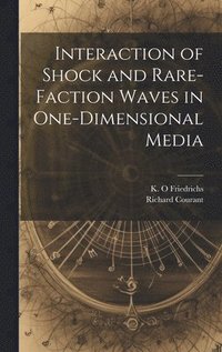 bokomslag Interaction of Shock and Rare-faction Waves in One-dimensional Media
