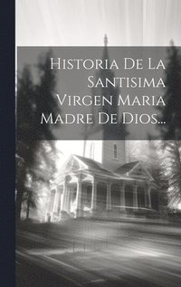 bokomslag Historia De La Santisima Virgen Maria Madre De Dios...