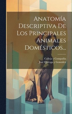 bokomslag Anatomía Descriptiva De Los Principales Animales Domésticos...