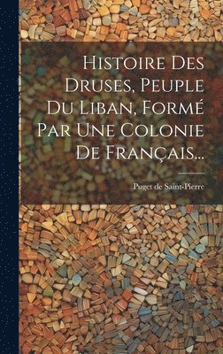 bokomslag Histoire Des Druses, Peuple Du Liban, Form Par Une Colonie De Franais...