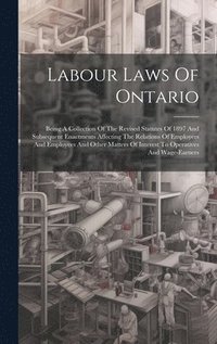 bokomslag Labour Laws Of Ontario
