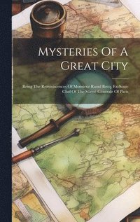 bokomslag Mysteries Of A Great City