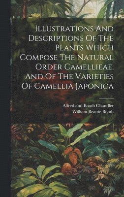 Illustrations And Descriptions Of The Plants Which Compose The Natural Order Camellieae, And Of The Varieties Of Camellia Japonica 1