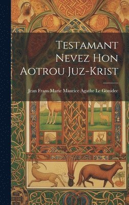 bokomslag Testamant nevez hon Aotrou Juz-Krist