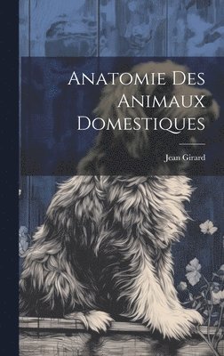 bokomslag Anatomie Des Animaux Domestiques