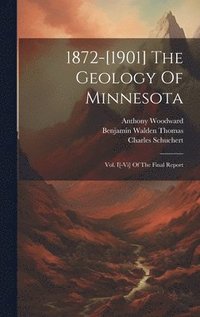 bokomslag 1872-[1901] The Geology Of Minnesota