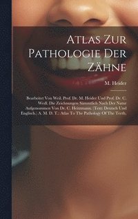 bokomslag Atlas Zur Pathologie Der Zhne
