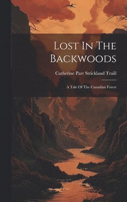 bokomslag Lost In The Backwoods