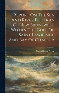 bokomslag Report On The Sea And River Fisheries Of New Brunswick Within The Gulf Of Saint Lawrence And Bay Of Chaleur