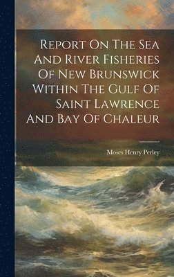 bokomslag Report On The Sea And River Fisheries Of New Brunswick Within The Gulf Of Saint Lawrence And Bay Of Chaleur