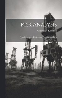 bokomslag Risk Analysis