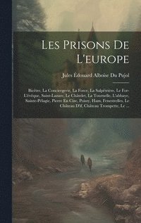 bokomslag Les Prisons De L'europe