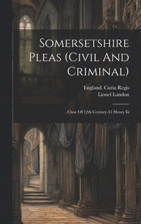 bokomslag Somersetshire Pleas (civil And Criminal)