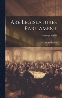 bokomslag Are Legislatures Parliament