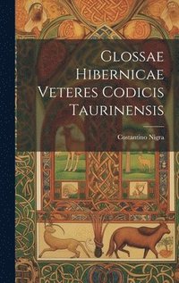 bokomslag Glossae Hibernicae Veteres Codicis Taurinensis