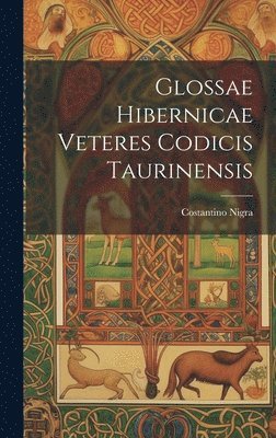 Glossae Hibernicae Veteres Codicis Taurinensis 1