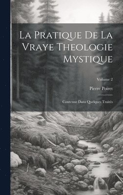 bokomslag Pratique De La Vraye Theologie Mystique