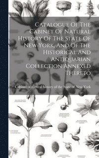 bokomslag Catalogue Of The Cabinet Of Natural History Of The State Of New York, And Of The Historical And Antiquarian Collection Annexed Thereto