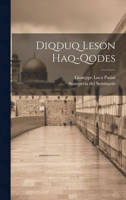 bokomslag Diqduq Leson Haq-qodes