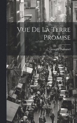 Vue De La Terre Promise 1