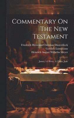 bokomslag Commentary On The New Testament