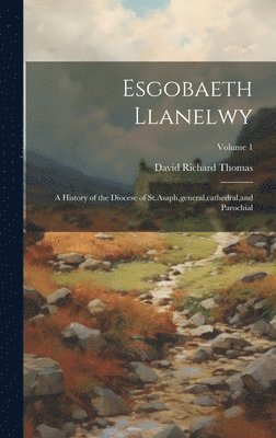 bokomslag Esgobaeth Llanelwy