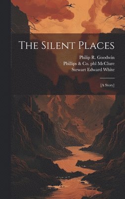 bokomslag The Silent Places
