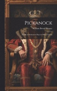 bokomslag Pickanock