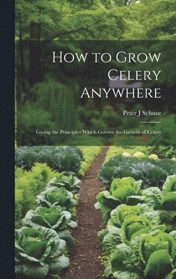 bokomslag How to Grow Celery Anywhere