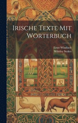 bokomslag Irische Texte mit Wrterbuch