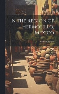 bokomslag In the Region of Hermosillo, Mexico