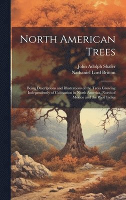 North American Trees 1