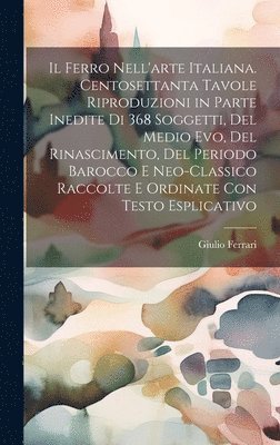 bokomslag Il ferro nell'arte Italiana. Centosettanta tavole riproduzioni in parte inedite di 368 soggetti, del medio evo, del rinascimento, del periodo barocco e neo-classico raccolte e ordinate con testo