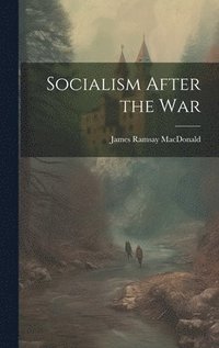 bokomslag Socialism After the War